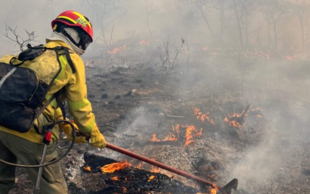 Córdoba: los bomberos combaten un incendio rural en Pampa de Achala