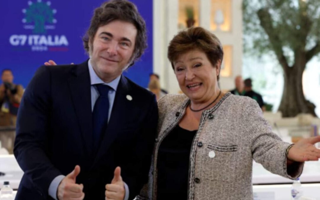 El FMI flexibiliza metas y respalda plan de Milei: privatizaciones para sumar reservas