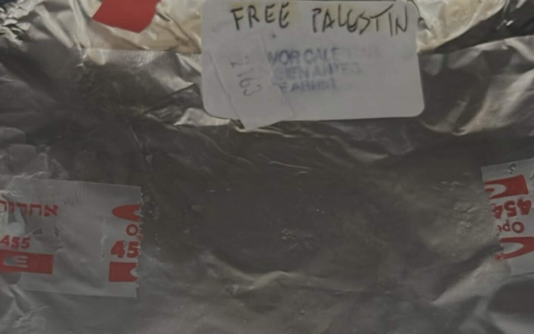 Vuelo de Iberia: Sindicalista sugiere que los pasajeros escribieron ‘free palestine’