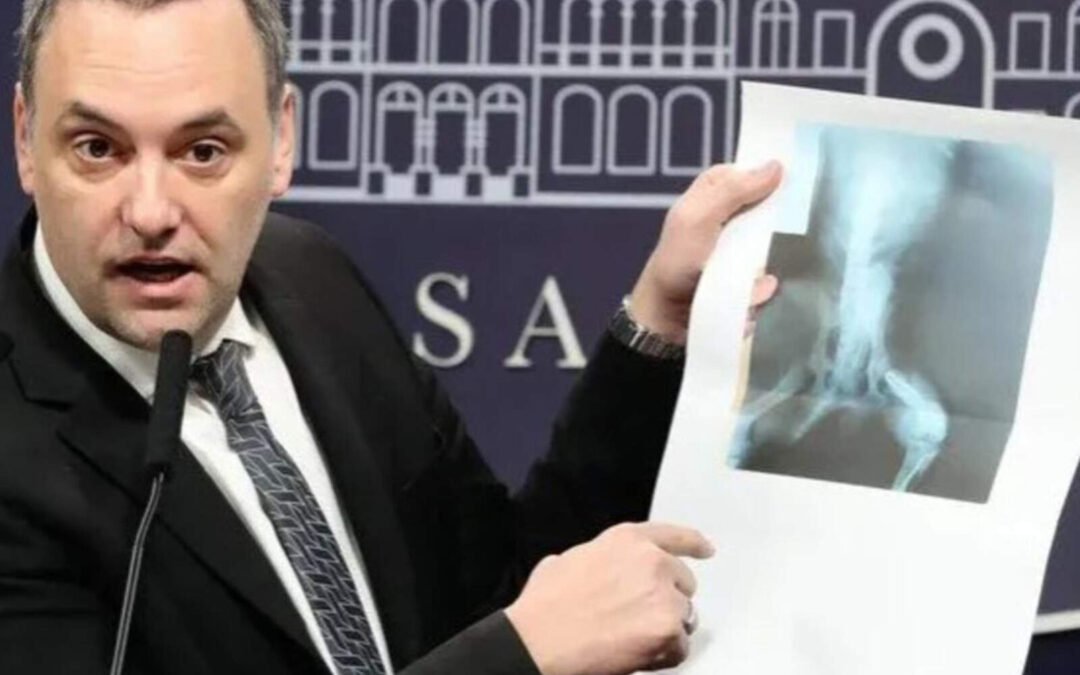 El Gobierno dio de baja más de 110 mil pensiones por discapacidad irregulares