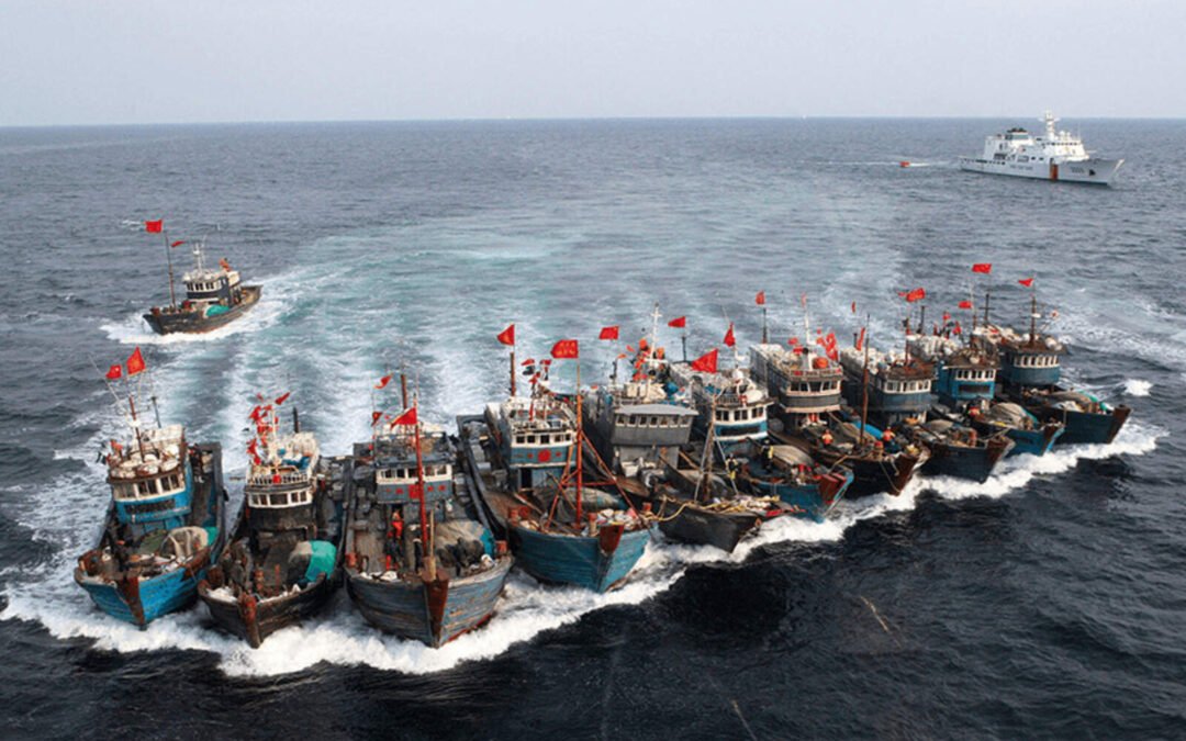 Con ayuda de Chile, barcos chinos buscan pescar ilegalmente en el Mar Argentino