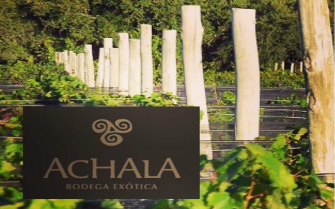 Córdoba avanza en la producción de vinos y obtiene premios internacionales