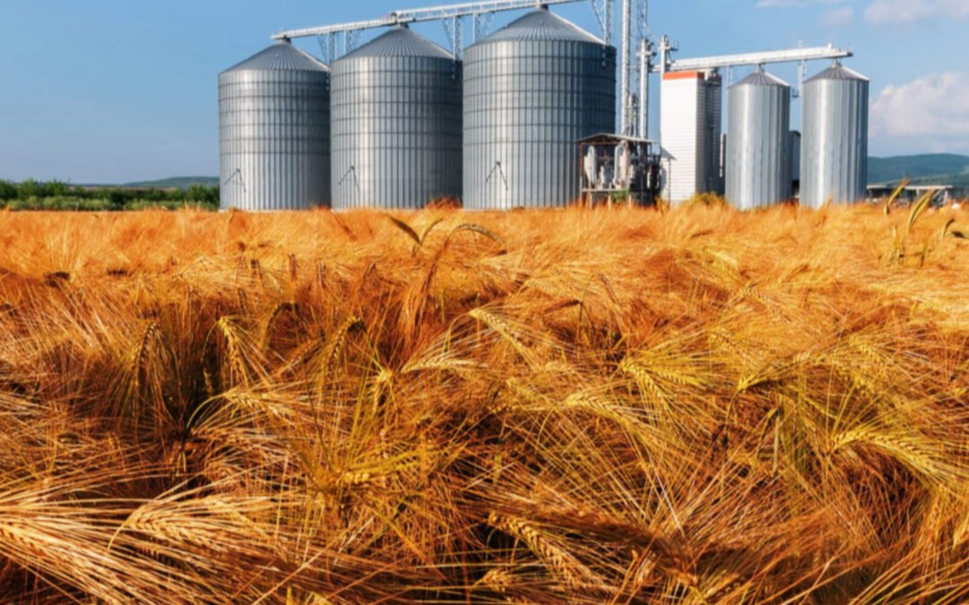 Agro en Córdoba: créditos en dólares crecen 65% gracias a la estabilidad nacional