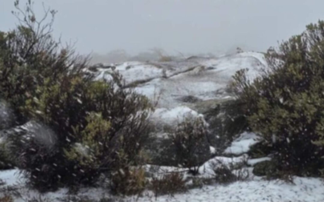 Córdoba: comenzó a nevar y cortaron el camino de las Altas Cumbres