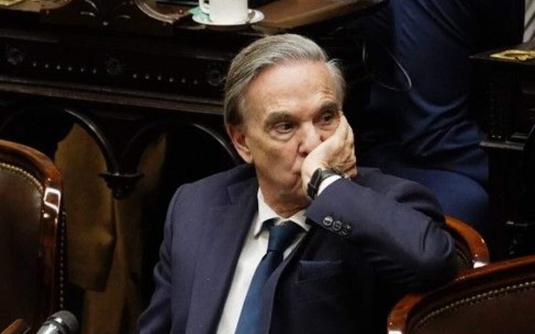 Pichetto terminó domado en redes por querer prohibir el sitio web Shein