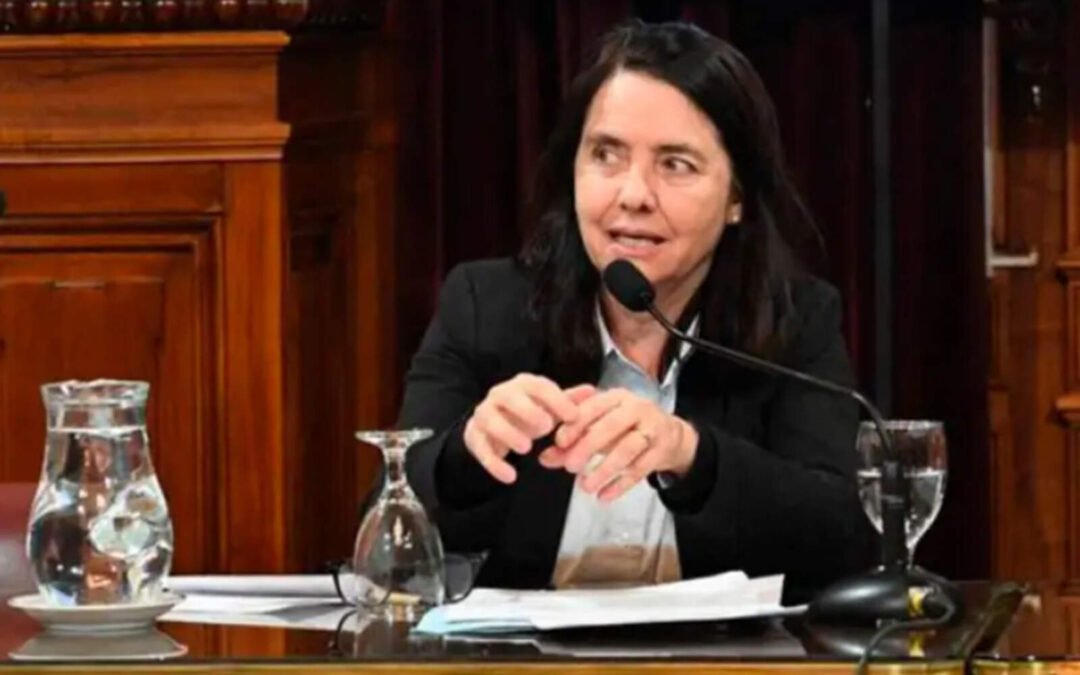 Álvarez Rivero generó polémica en el Senado con sus dichos sobre el Hospital Garrahan