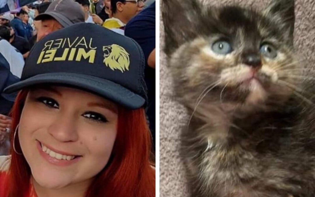 ¡Insólito! Una joven quiso adoptar a un gato y se lo negaron por apoyar a Javier Milei