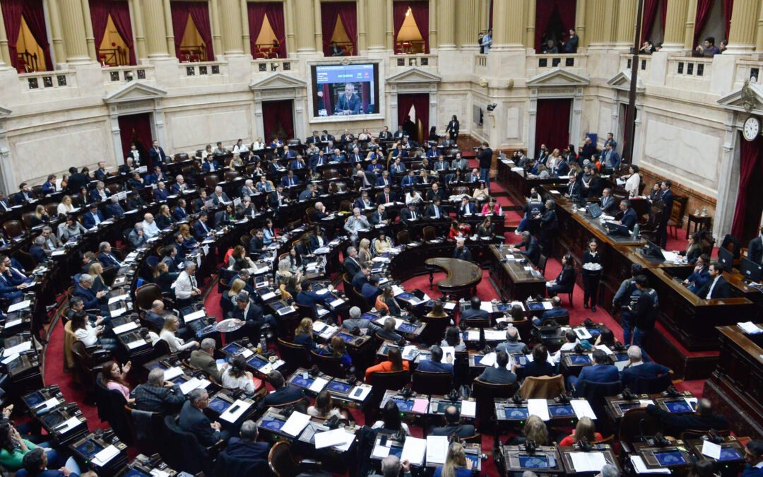 Diputados rechazó el veto de Milei a la deficitaria Ley de Emergencia en Discapacidad