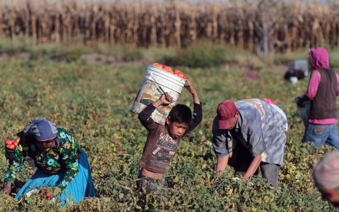 Acuerdo millonario en Córdoba: pagan para evitar juicio por explotación laboral