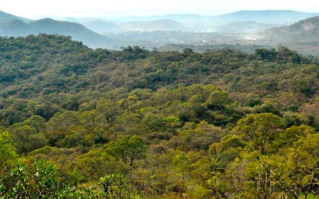 Ambientalistas reclaman al gobierno de Córdoba por terrenos de la Nación