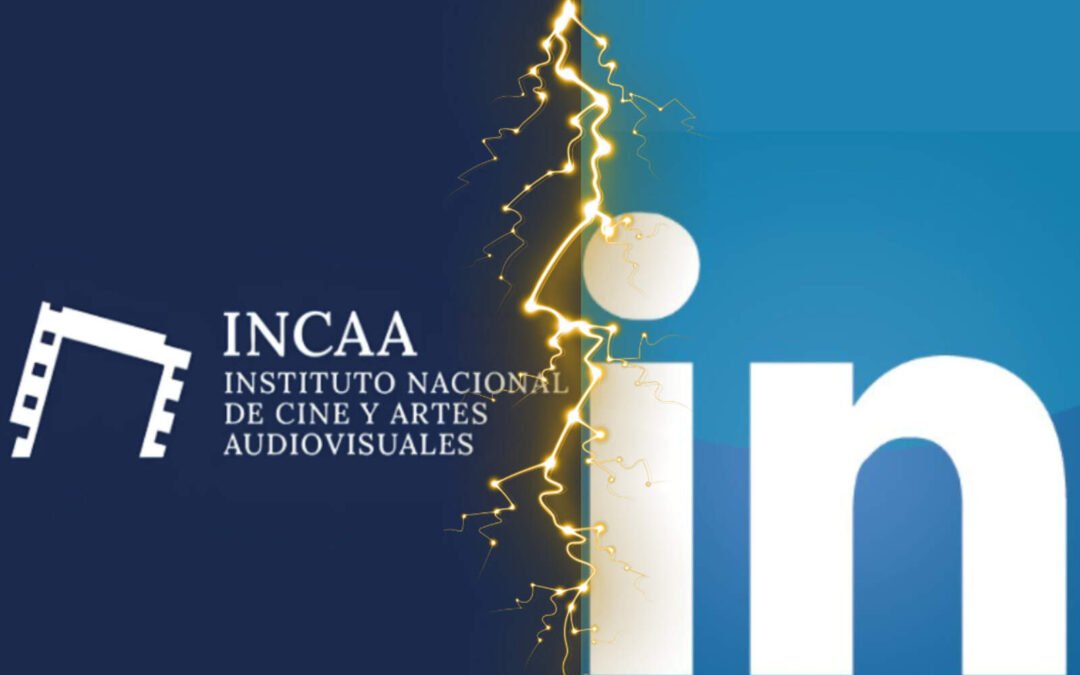 ‘Cine basura’ y Homo Argentum: el inesperado cruce por el INCAA en LinkedIn