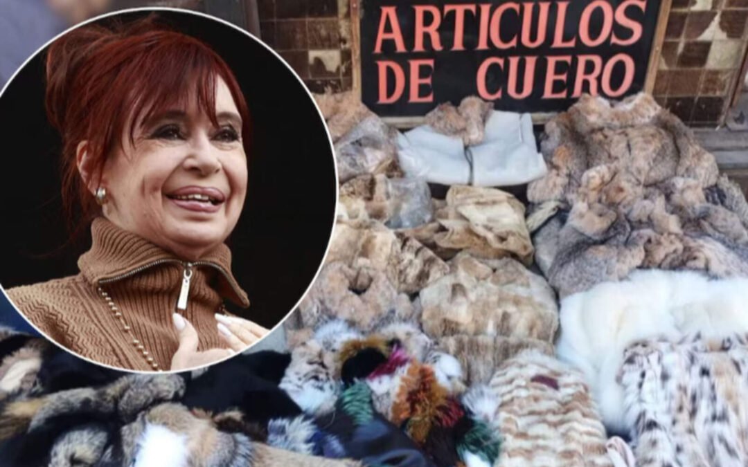 Incautaron prendas de animales en extinción en un local donde Cristina compraba ropa