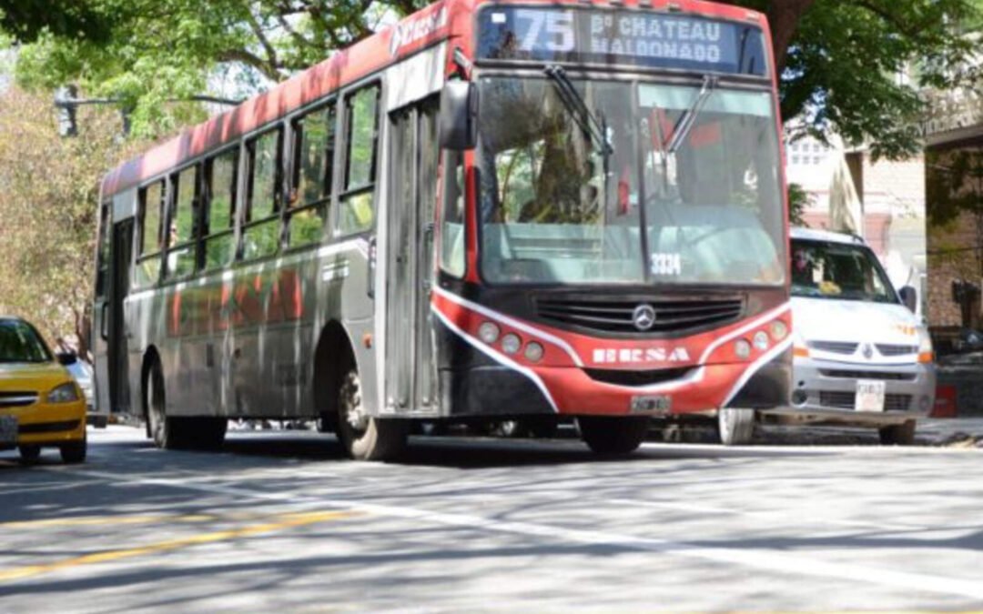 Transporte: por las aplicaciones de viajes, cae fuerte el corte de boletos en Córdoba