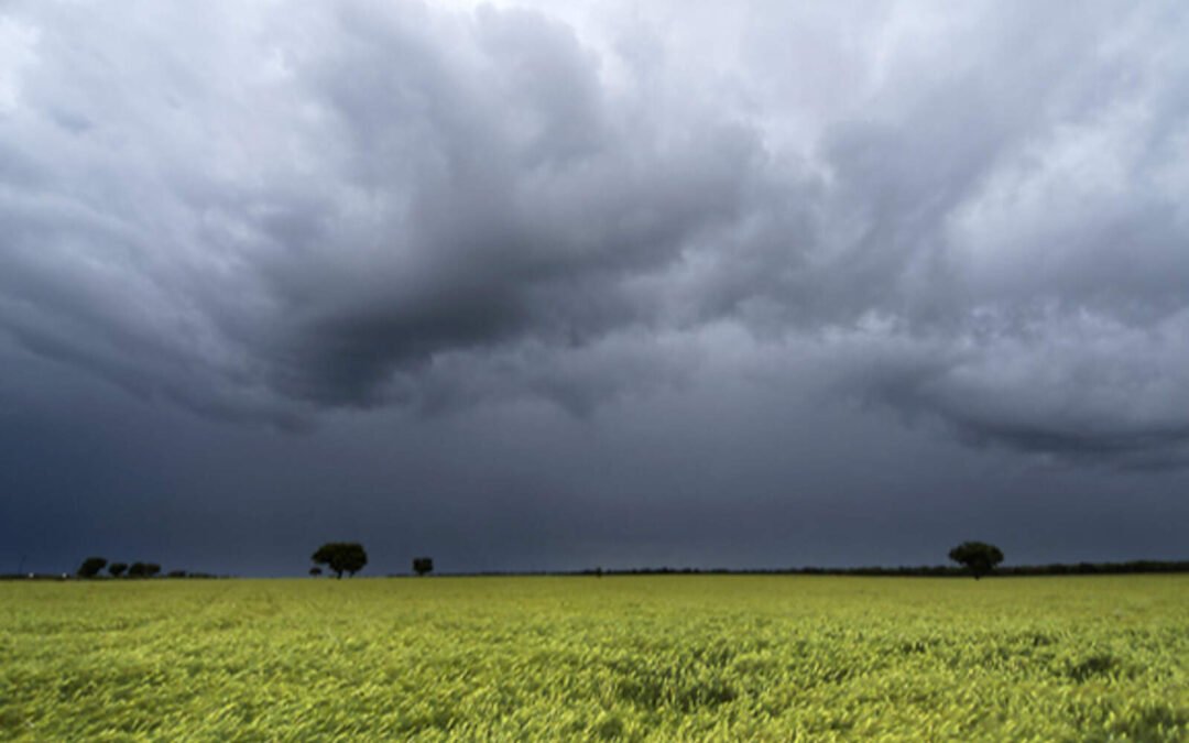 tormenta-de-santa-rosa-en-cordoba:-llegan-lluvias-y-baja-la-temperatura