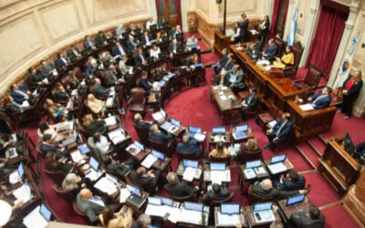 El senado buscará quebrar al Estado con la insistencia de emergencia en discapacidad