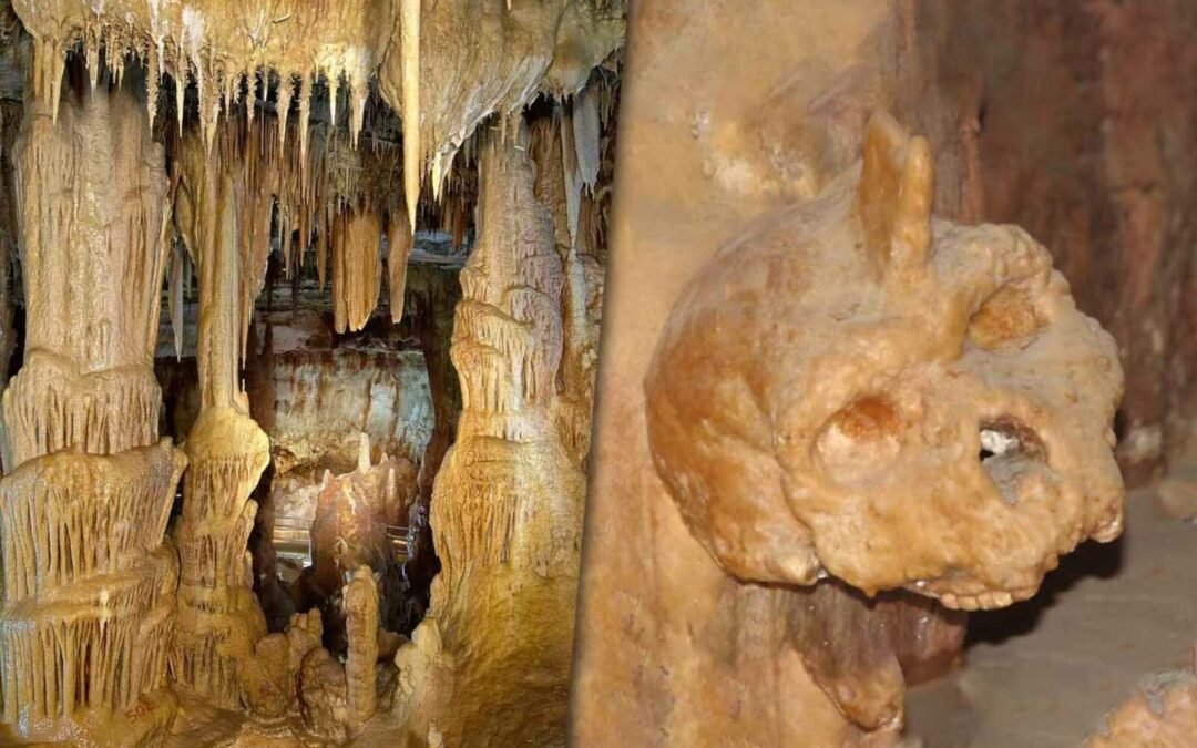 Encuentran un cráneo de 300.000 años en Grecia que no es humano ni neandertal