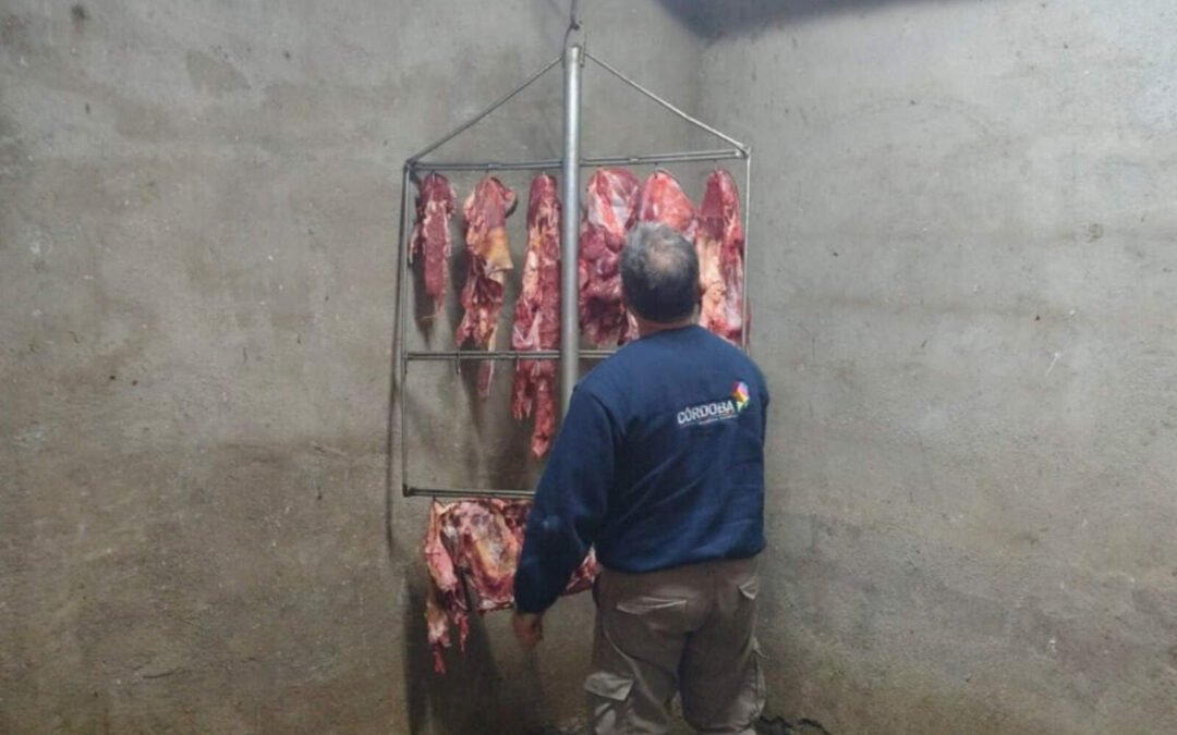 cordoba:-clausuran-y-decomisan-carne-en-frigorificos-clandestinos