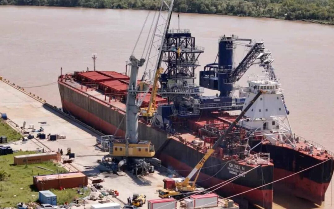 Exportaciones agroindustriales crecieron 6% en 2025 y Córdoba potencia el desempeño