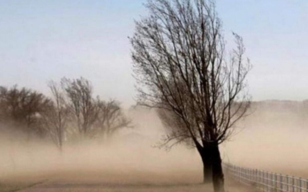Por los vientos, el riesgo de incendios en Córdoba es extremo