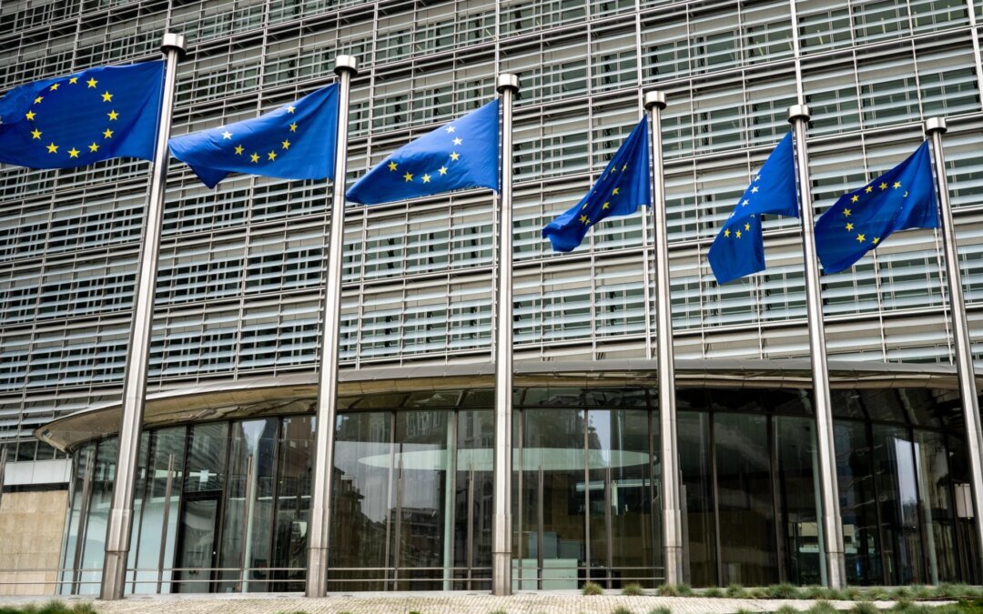 la-union-europea-impulsa-su-agenda-de-genero-y-avanza-sobre-la-libertad-de-expresion