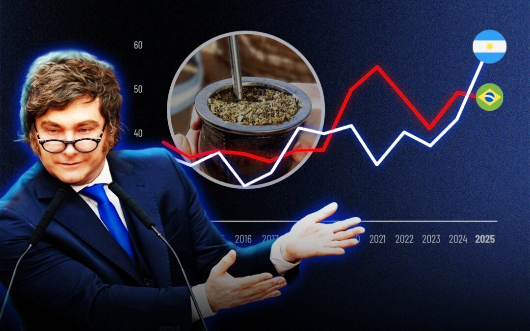 gracias-a-milei,-argentina-supero-a-brasil-y-volvio-a-liderar-las-exportaciones-de-yerba-mate