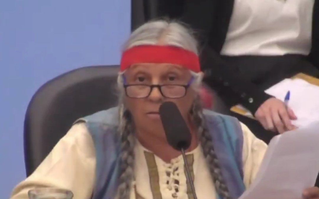 papelon-en-la-audiencia-por-la-ley-de-glaciares:-se-rieron-del-discurso-de-una-dirigente-indigena-financiada-por-noruega