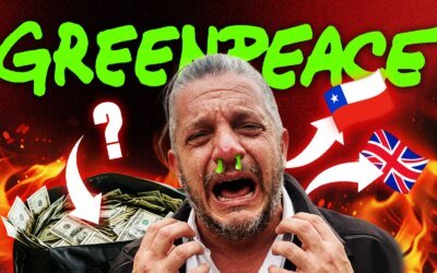 Quién es Diego Salas, el director de la ONG británica Greenpeace en Argentina