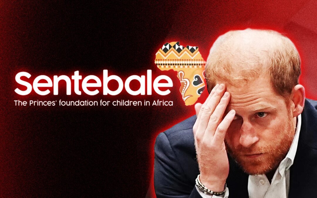 una-organizacion-benefica-demando-al-principe-harry-por-difamacion-tras-una-disputa-interna