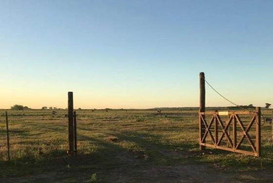 por-que-bajan-los-precios-de-los-alquileres-de-campos-en-cordoba
