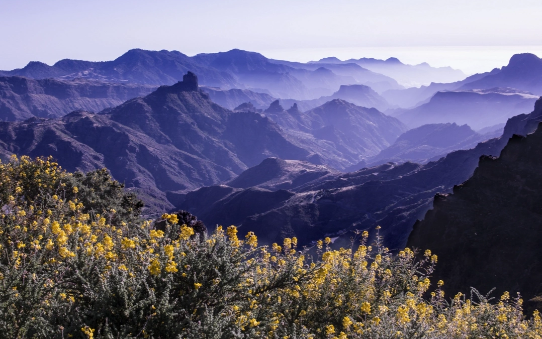 descubren-la-evidencia-mas-antigua-de-cosecha-de-cereales-en-las-islas-canarias