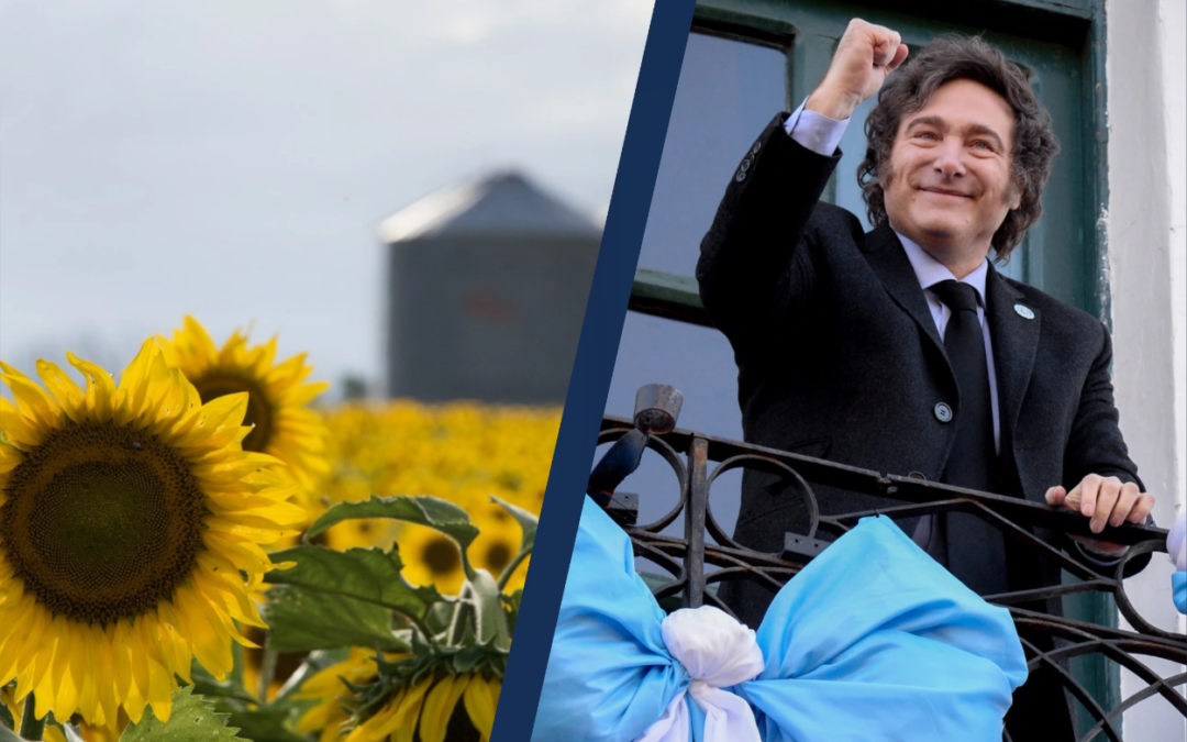 record-del-girasol-en-cordoba:-el-campo-aprovecha-la-estabilidad-para-batir-marcas-historicas