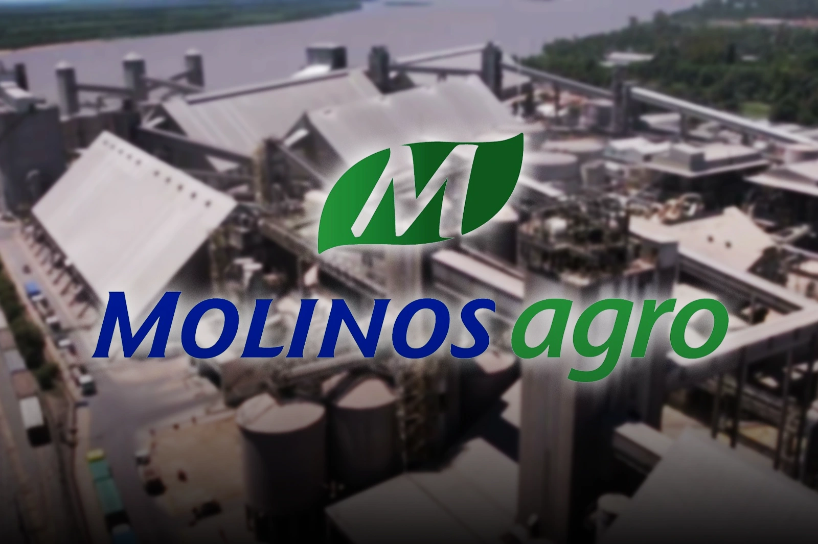 record-agroindustrial:-molinos-agro-impulsa-un-megaproyecto-portuario-de-usd-800-millones