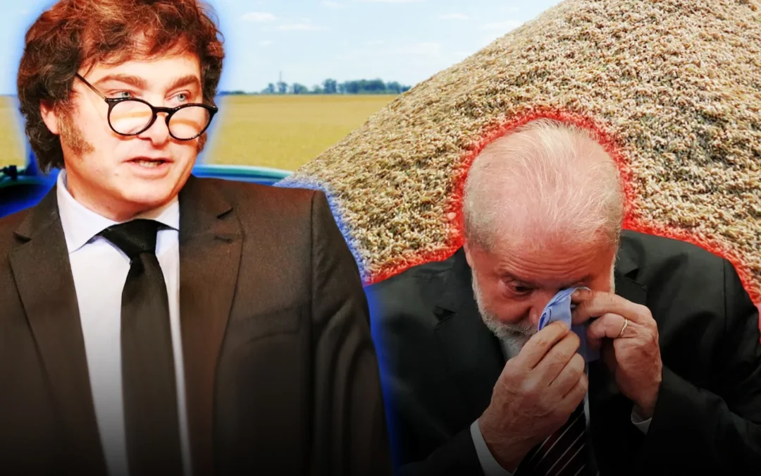 brasil-se-quejo-tras-perder-frente-a-argentina-la-cuota-de-arroz-europea