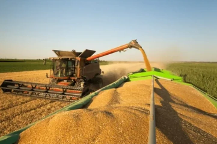 la-provincia-de-cordoba-alcanzara-un-record-historico-en-su-produccion-agricola
